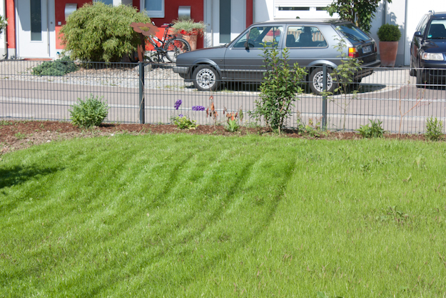 Alenas Gartentagebuch | Neu-Gärtner-Impressionen | Seite 7